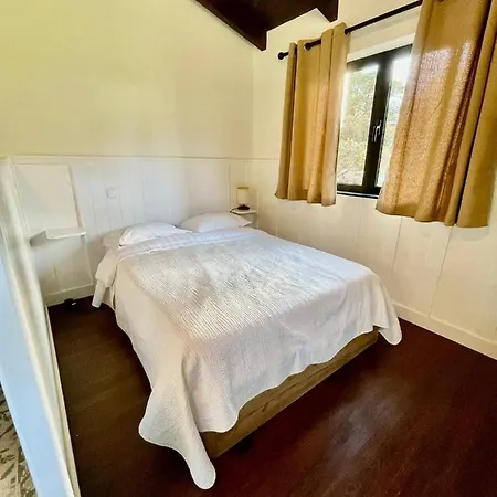 Palheiro Do Avo Tatil Evi *