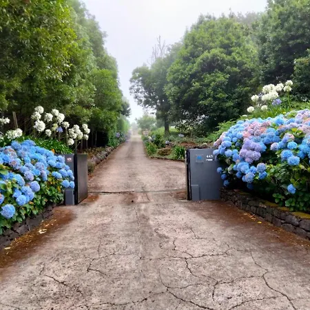 Palheiro Do Avo Tatil Evi