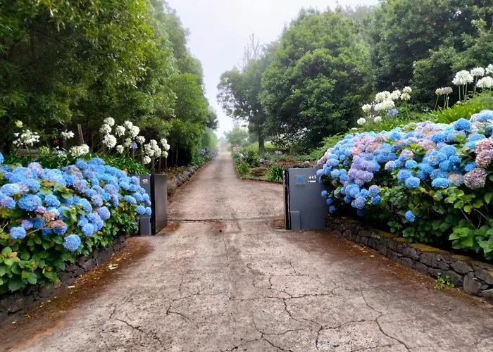 Palheiro Do Avo בית נופש